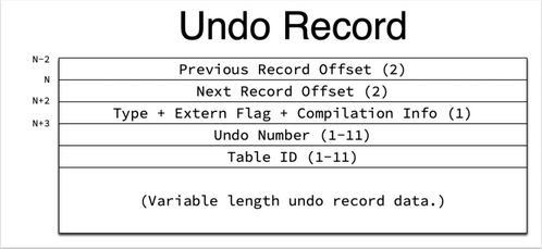 undocumented，undo怎么读