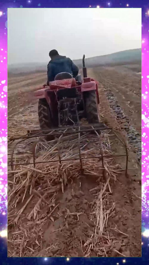 一扫而光是成语吗，一扫而光打一动物