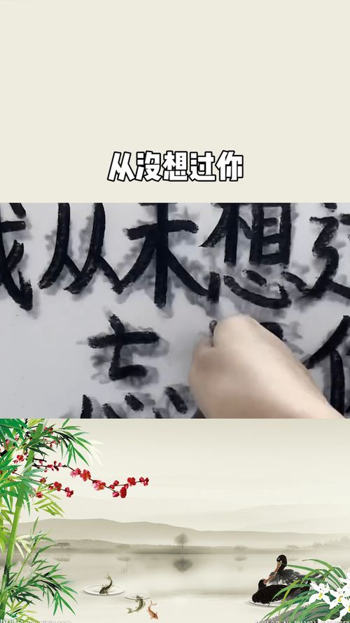 中学生写作文我不曾忘记