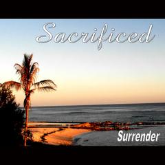 sacrificed for，sacrifice动词用法
