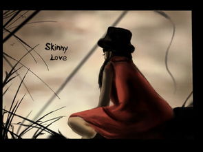 skinny是什么意思英语翻译，skinny 什么意思