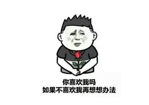 决心是什么意思?看解释还是不是很清楚。