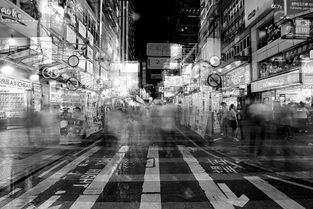 闹市孤萤，闹市的反义词