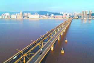 瑞安市飞云江跨海特大桥介绍?