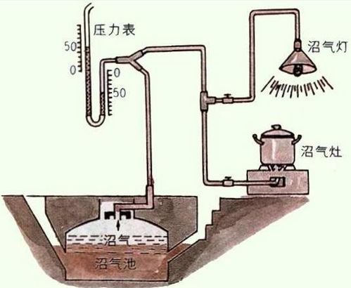 沼气的主要成分是什么和什么，沼气是什么