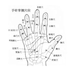 针灸读音