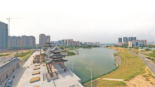仙城社区属于哪个省哪个市