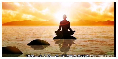 理想追求作文，理想追求的诗句