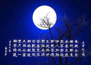 用月亮表达思念的诗句作者和诗名，用月亮表达思念的诗句杜甫