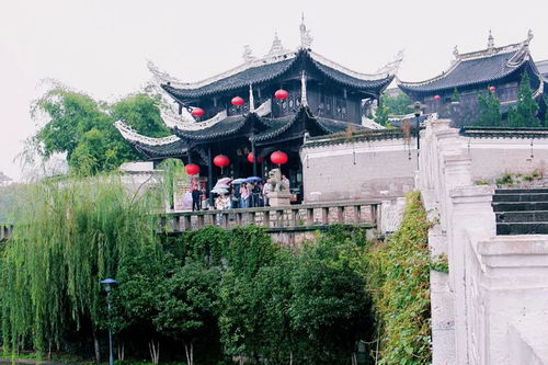 暮从碧山下山月随人归是什么意思，暮从碧山下山月随人归全诗解释拼音