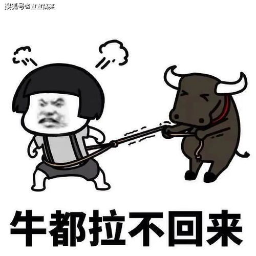 你真幽默什么意思，女生说你真幽默什么意思