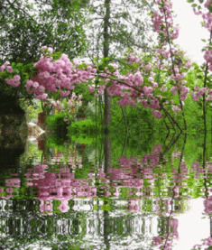 流水落花春去也,天上人间什么意思