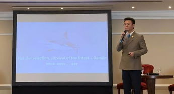 mcm是什么牌子的包包，mcm是什么皮