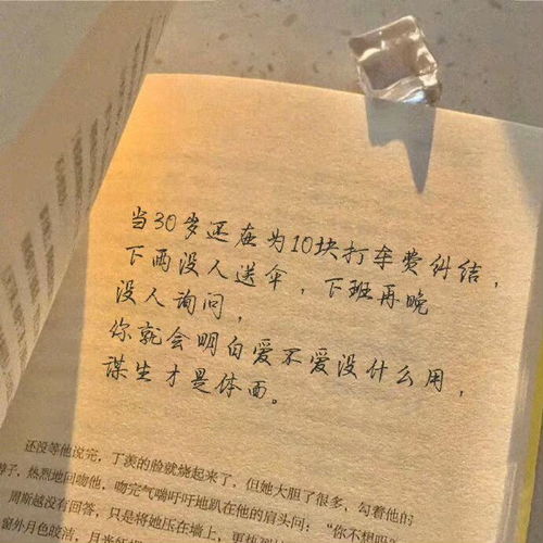 傅首尔经典台词，傅首尔的经典名句
