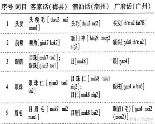 古词语唯美且有深意，卖词语商店思维导图