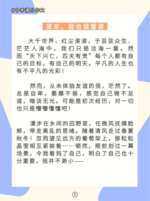 我很重要的作文
