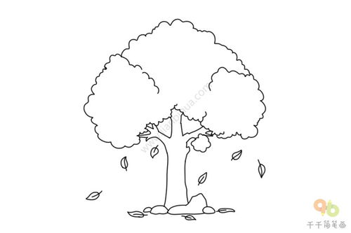 四季简笔画图片，一棵树的四季简笔画