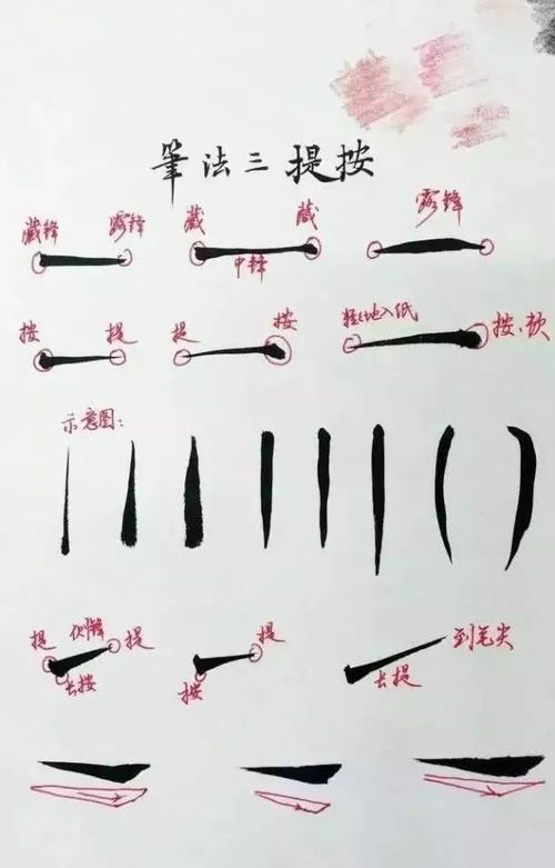 招笔画组词，招笔画顺序怎么写的顺