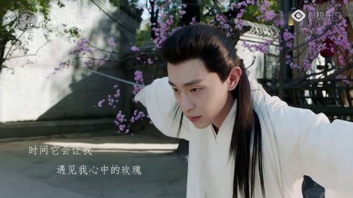 从不顾影自怜,也不孤芳自赏是什么意思，孤芳自赏是什么意思并造句