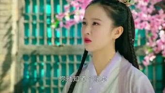 小令多少字，小令和诗比较相似的地方有
