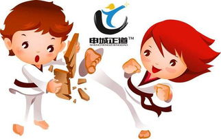跆拳道的英文怎么读，乒乓球和跆拳道的英文