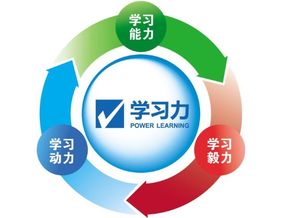 易经的三易是指哪三易?