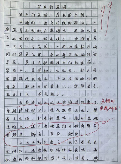 小学四年级作文我的家乡，四年级作文我的家乡的美景400字左右