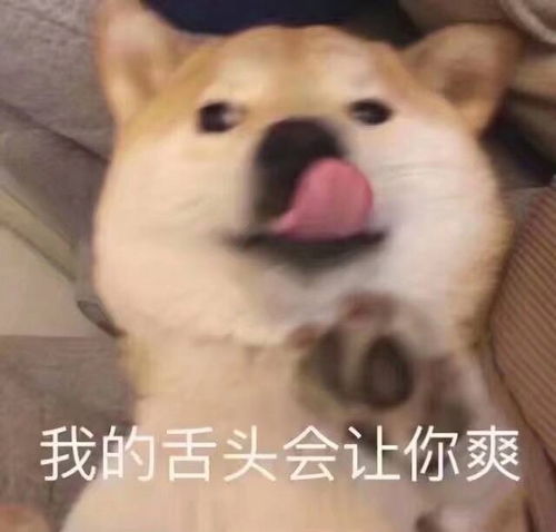 你的爱太嚣张青春失乐园，你的爱太嚣张mp3下载