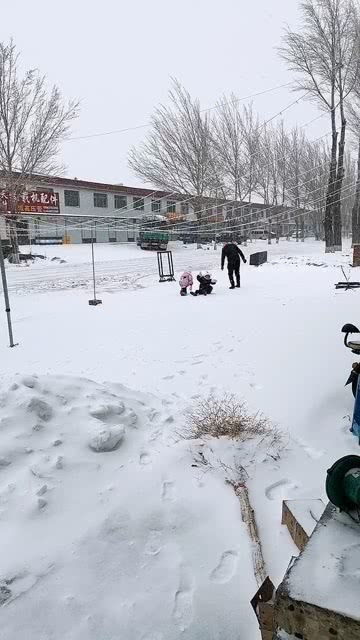 南方的冬天作文，南方的冬天冷不冷