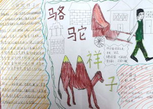 雨果悲惨世界读书笔记3000字
