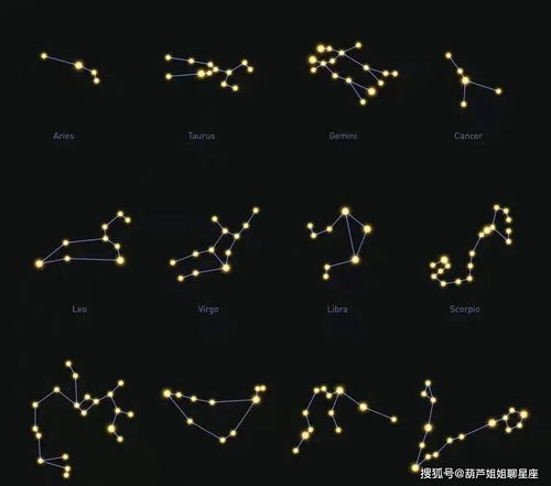11月24号是什么星座