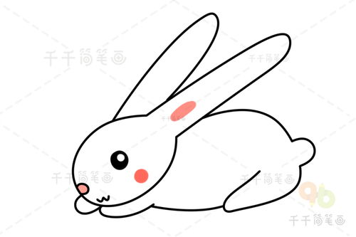 简笔画小白兔怎么画