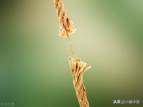 一根稻草的故事