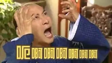 我看到了,粤语说我睇到佐是不是?