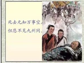 示儿诗意是什么