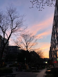 游荡后来怎么样了，游荡的拼音