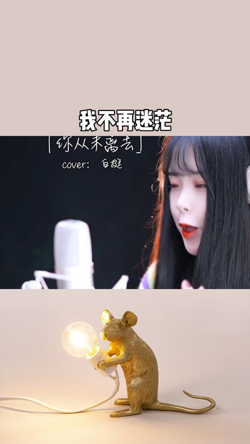我不再迷茫熊出没主题曲，我不再迷茫思念是唯一的行囊是什么意思