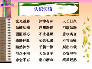 《我的“长生果”》分段落大意?