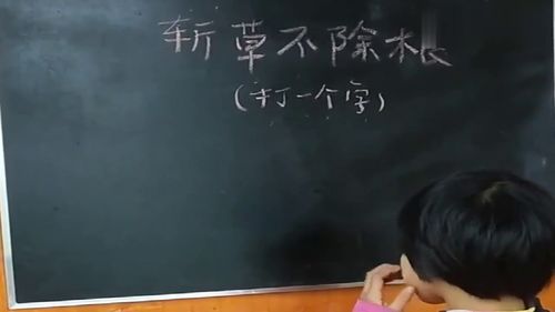 远看田里长青草,近看才知不是草。打一字?
