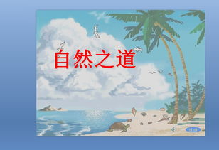 自然之道怎么分段