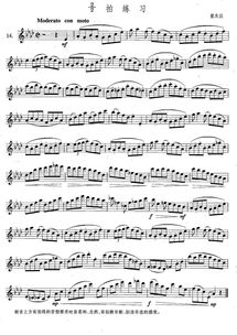 我是个中音萨克斯初学者,适合吹什么曲