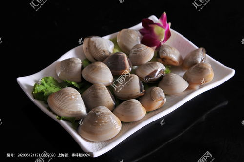 白贝怎么做好吃，白贝母的寓意及象征