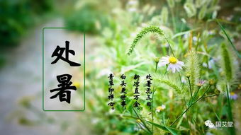 二十四节气表处暑的意思，处暑的意思解释词语