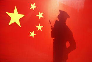 国将什么什么成语