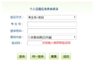 如何查询体育中考成绩单，怎样查中考体育考试成绩