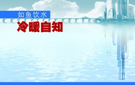 如鱼饮水冷暖自知的上一句，如鱼饮水冷暖自知还是如人饮水冷暖自知