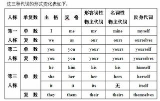 反身代词什么意思，反身代词的句子举例