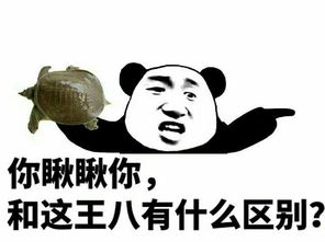 “我要的不多,我要真的不多”是什么歌?