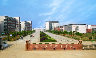 武汉城市职业学院3+2专本衔接，武汉城市职业学院电话