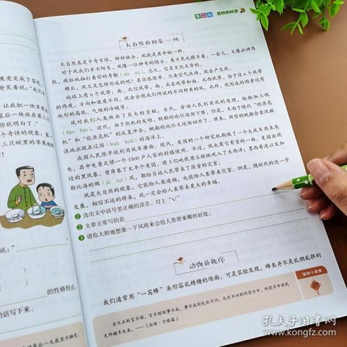 四年级阅读理解专项训练免费，四年级阅读理解题20篇可以打印的